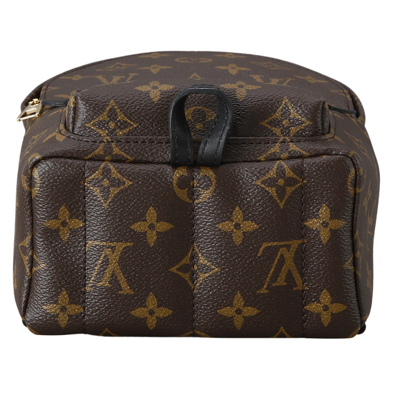 LOUIS VUITTON(USED)루이비통 팜스프링 미니 백팩